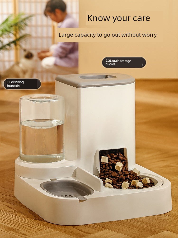 Automatic Pet Feeder Non - Plug - in Pet Supplies Cat - Le Palais Du Chat