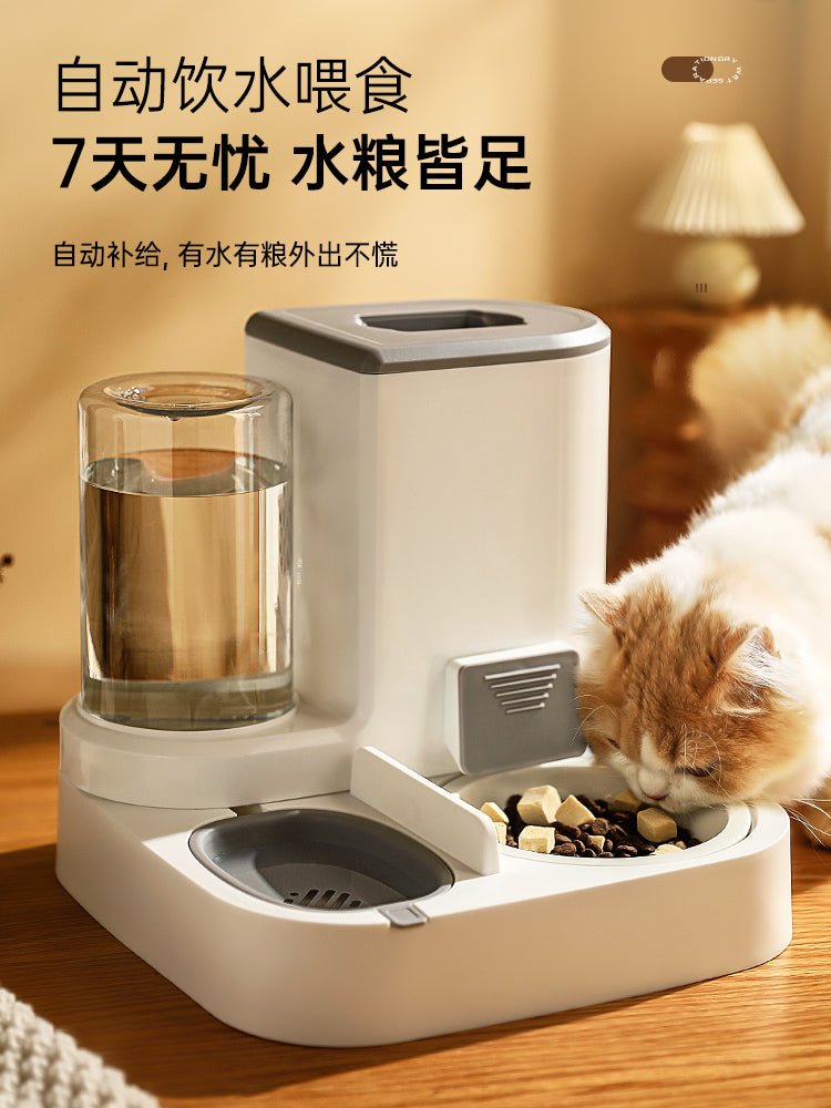 Automatic Pet Feeder Non - Plug - in Pet Supplies Cat - Le Palais Du Chat