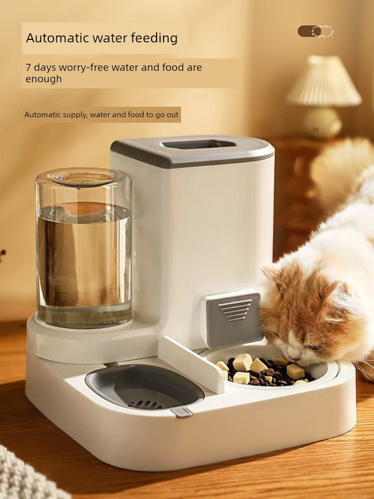 Automatic Pet Feeder Non - Plug - in Pet Supplies Cat - Le Palais Du Chat